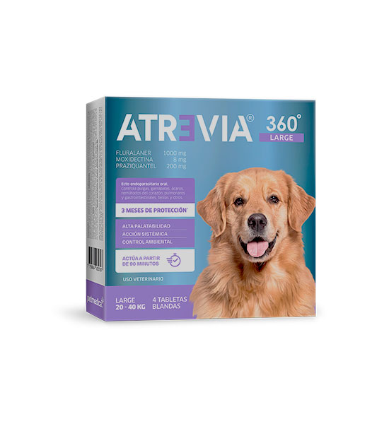 Atrevia 360 Large