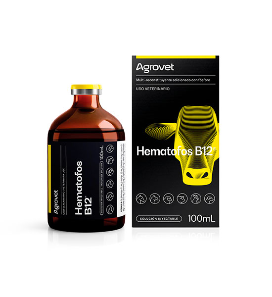 Hematofos B12